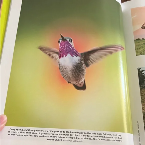 #0969**Sunflower Themed Home Accent Book - Picture 2 of 14